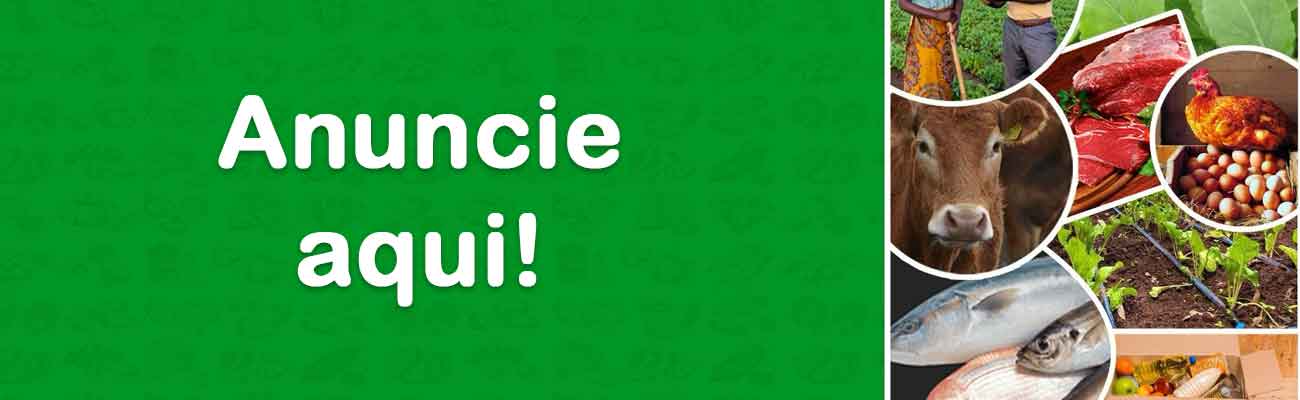 Publicidade Teste fachada