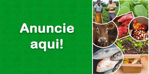 Publicidade Teste horizontal