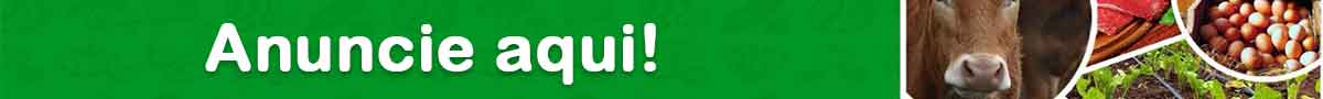 Publicidade Teste site